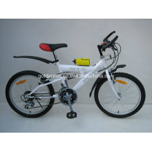 20 &quot;bicicleta da armação de aço Moutain (2004)